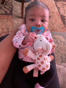 A baby holding a giraffe stuffed animal